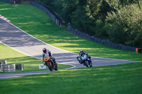 Middle 2 Group Orange Bikes
